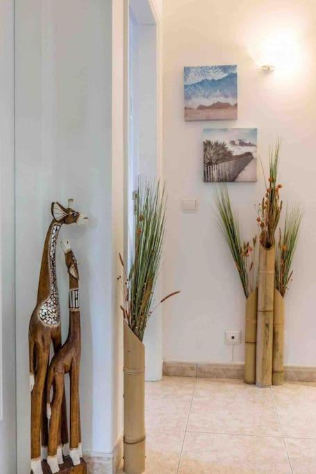Terracos Do Vau 108 Apartment Portimao Exterior photo